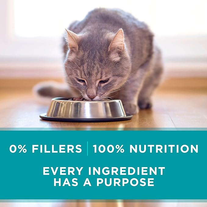 Purina ONE Natural, High Protein, Grain Free Wet Cat Food Pate, Turkey Recipe - (Pack of 48) 3 oz. Pull-Top Cans