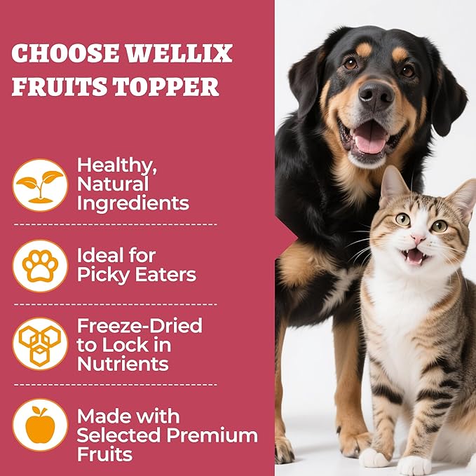 Wellix Dog & Cat Food Topper, Cat Treats for Indoor Cats, Fiber Treats for Dogs Supporting Dogs Gut Health, with Freeze Dried Chicken, Freeze Dried Fruit & Egg Yolk for Cats, 7.05oz