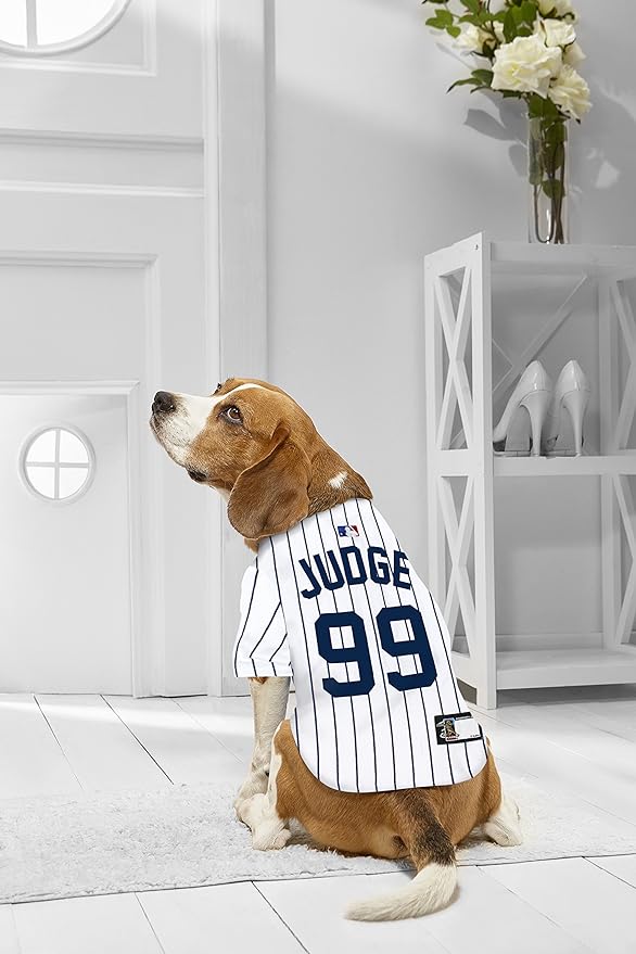 MLBPA Dog Jersey - Aaron Judge #99 Pet Jersey - MLB New York Yankees Mesh Jersey, Large