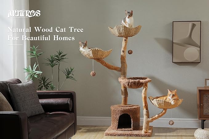 MUTTROS 59" Cat Tree Tower with Real Solid Wood Natural Branch, Modern Cat Tree for Large Cats w/3 Handwoven Wicker Baskets- Luxury Boho Cat Furniture w/Condo & Soft Hammock, Scratching Post, Brown