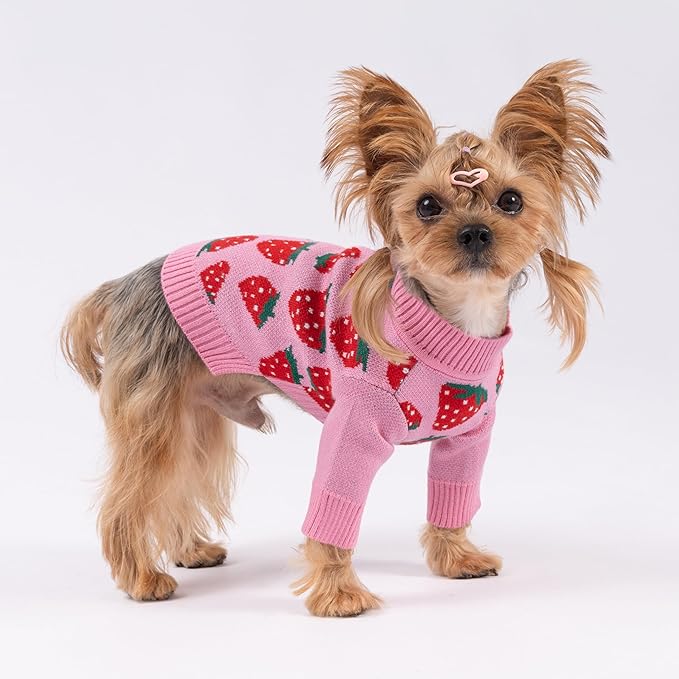Fitwarm Adorable Strawberry Dog Sweater, Thermal Dog Winter Clothes for Small Dogs Girl, Pet Outfit, Pink, Red, White, Green, Medium