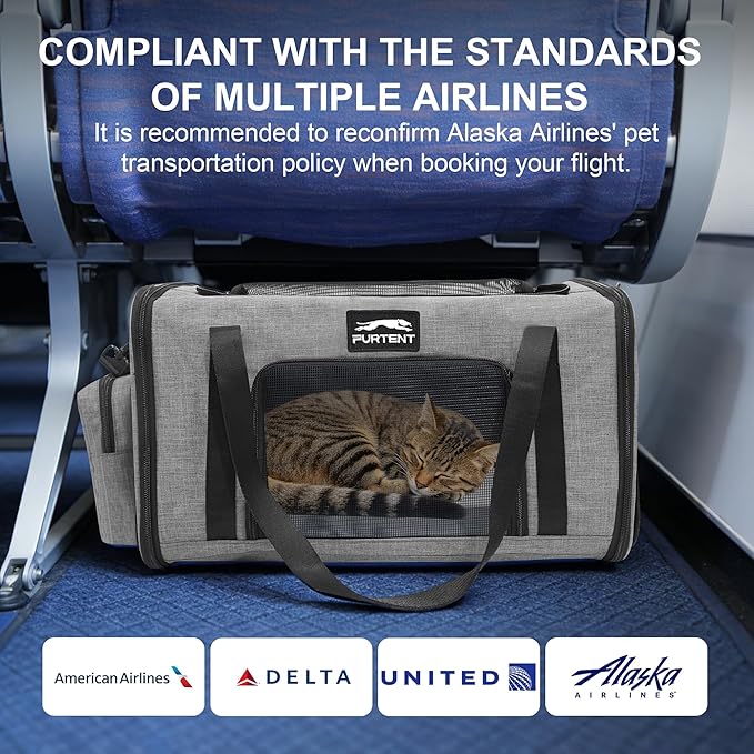 Soft Sided Cat Carrier Airline Approved up to 15lbs, 17x11x9.5 Inch Ventilated Pet Travel Bag with Foldable Litter Box & Storage, Portable Cat Transport Carrier for Flights Car Vet Gray
