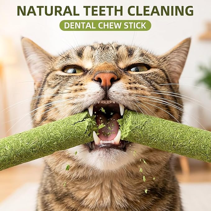 6Pack Cat Toys Cats Grass Treat Catnip Toy with Silvervine for Indoor Kitten Toys Wood Kitty Chew Rope Grass Sticks for Teeth Cleaning Kitten Snack for Catnip Dental Care Self Play