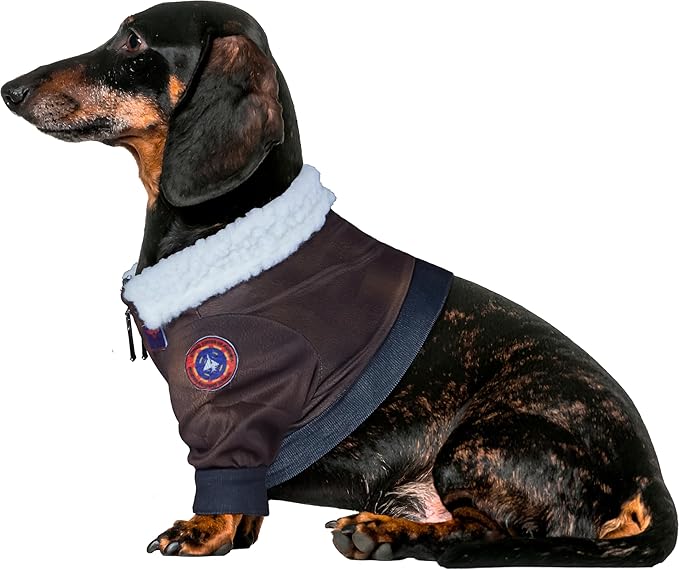 Top Gun: Maverick Pet Costume for For Dogs or Cats by Rubies, XS