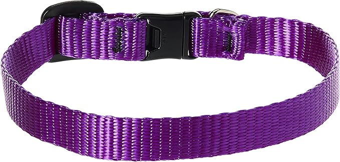 LupinePet Basics 1/2" Purple Cat Safety Collar , 8-12"