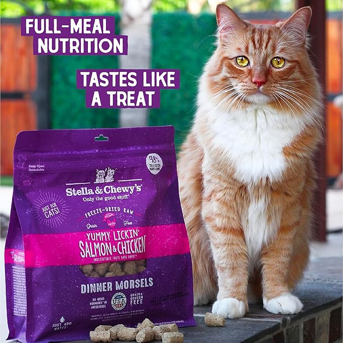 Stella & Chewy's Freeze-Dried Raw Cat Dinner Morsels - Premium Salmon & Chicken Recipe with 98% Wild-Caught & Cage-Free Protein - Natural Grain-Free Cat & Kitten Food - Made in USA - 1 oz (Pack of 6)