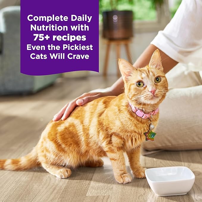 Wellness Complete Health Purrfect Duos Variety Pack Adult Wet Cat Food, Natural, Protein Rich, Grain Free, Pate and Gravy Recipes, 2.64 oz, Pack of 12 Split Cups