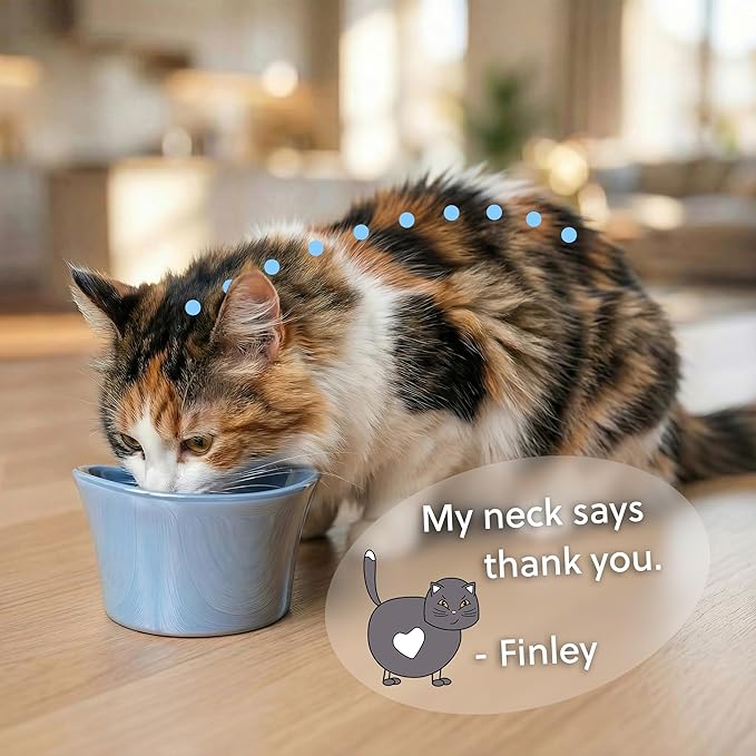 Elevated Cat Bowls for Water – Raised Bowl for Indoor Cats – Whisker & Neck Fatigue Shallow Cat Dishes – Vet-Recommended Height, Modern Pedestal Design – Non-Slip & Dishwasher-Safe – 8 oz White