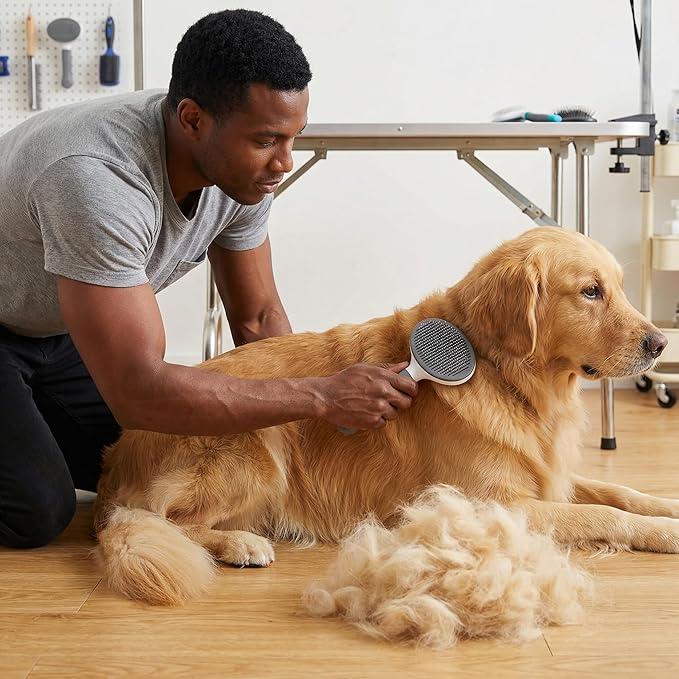 Cat Brush for Shedding for Indoor Cats & Dog Brush for Shedding - Perfect for Long & Short Haired Pets,Pet Brush for Dogs and Cats - Deshedding & Grooming Tool (Blue)