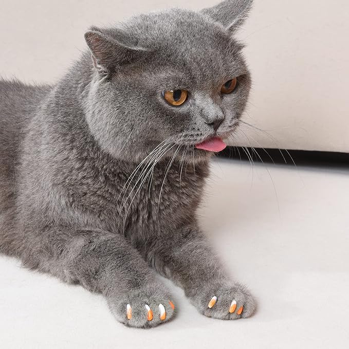 Kitty Caps Nail Caps for Cats Safe, Stylish & Humane Alternative to Declawing Stops Snags and Scratches, X-Small (Under 5 lbs), White with Orange & Clear with Blue Glitter - (Pack of 3)