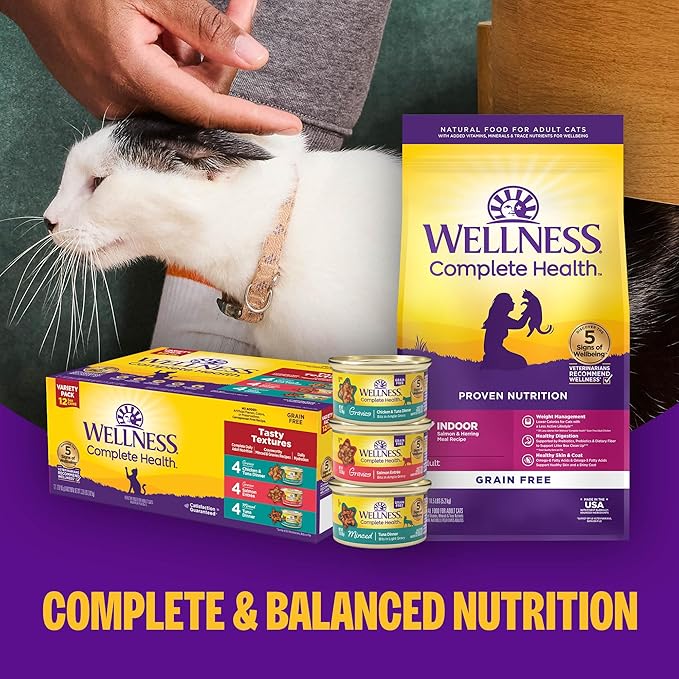 Wellness Complete Health Pate Adult Canned Wet Cat Food, Natural, Protein Rich, Grain Free, Turkey and Salmon Entrée Recipe, 12.5 oz, Pack of 12 Cans