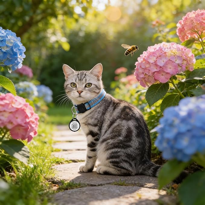 Reflective Cat Collar Breakaway with QR Code Tag for Girl Boy cat Name tag Kitten Collars with Bell Cat ID Tag Personalized Real-time scan alerts,Shareable Pet Profile (Blue)