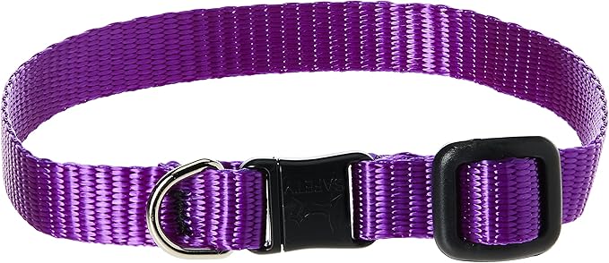 LupinePet Basics 1/2" Purple Cat Safety Collar , 8-12"
