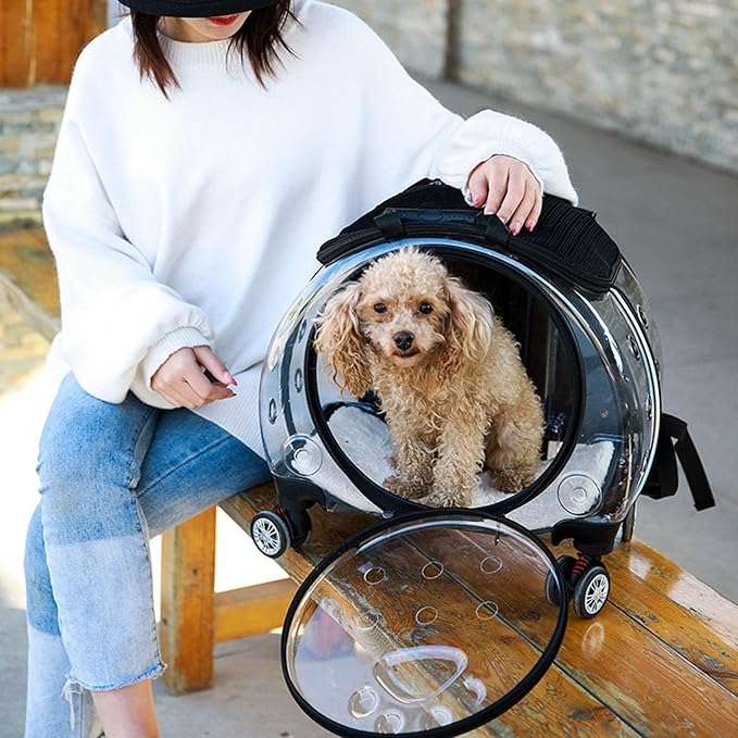 Rolling Cat Carrier,Clear Cat Carrier with Wheels,Pet Trolley Case Pet Backpack for Kitty Small Dog Sturdy and Breathable Design Portable Cats Dogs Backpack for Travel/Taking a Walk Orange