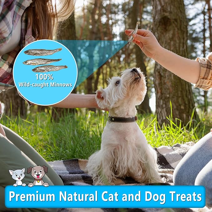 Minnows Dog Treats, Single Ingredient Dried Minnows for Dogs & Cats, Air Dried, Grain-Free, High-Protein, 100% Natural Premium Cat & Dog Treats 4.5 oz