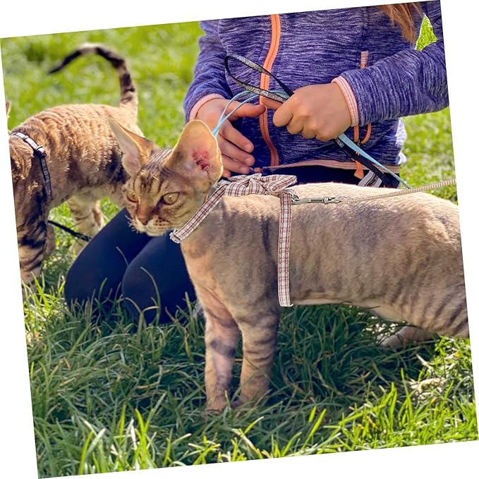 Abaodam Adjustable Cat Harness and Leash Set Escape PET Vest Reflective Straps for Kittens and Cats Soft and Comfortable Walking Gear