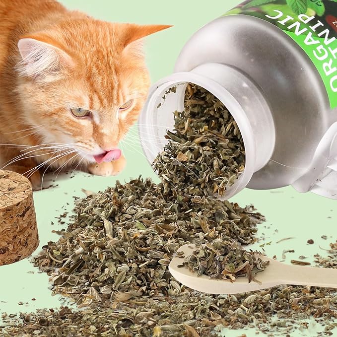 Organic Cat’s Cat nip Natural Dried Catnips Treat Used to Supplement Kitten Interactive Toys Great for Training Redirecting Bad Behaviors