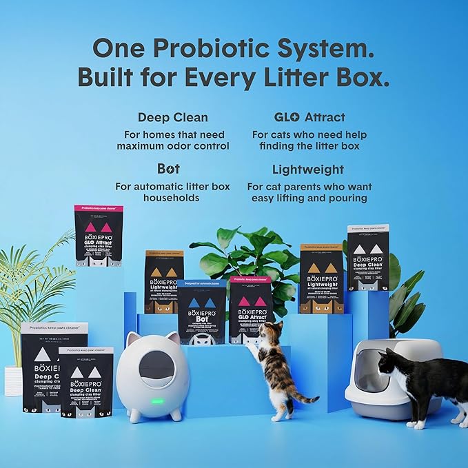 Boxie Probiotic Lightweight Cat Litter 40 Day Odor Control, Odor Eliminating Probiotics, 99.9% Dust Free, Multi-Cat, 11.5 lb