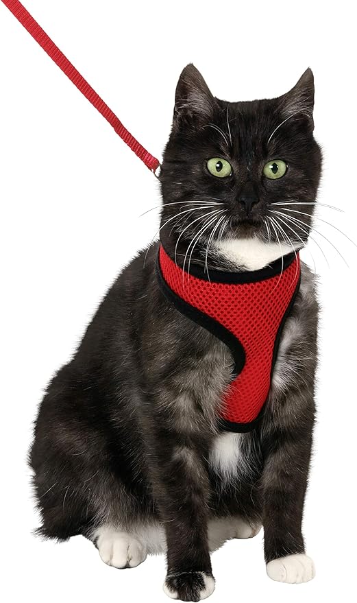 Flamingo Harms Kitten Set of Harness Red/Black, 110 cm x 10 mm