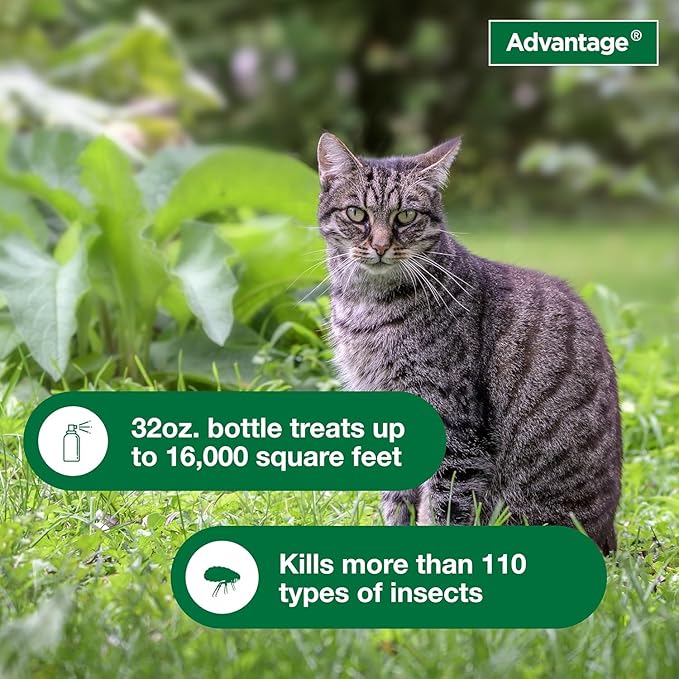 Bundle of Advantage Topical Flea Treatment and Prevention for Large Cats Over 9 lbs. + Advantage Yard & Premise Spray 32 oz.