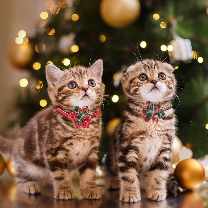 ADOGGYGO Christmas Cat Collar with Floral, 2 Pack Xmas Kitten Flower Collar, Red Green Plaid Christmas Collars for Cat Kitten