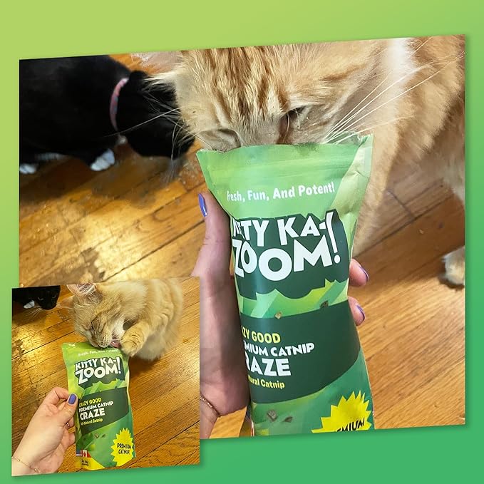 Catnip Craze - Catnip Mix | Hand Harvested Fresh Catnip Grown in Canada and The USA