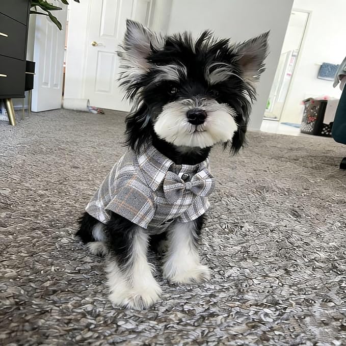 MAMORE Plaid Dog Shirt, Cute Puppy Outfit T-Shirt for Small Dogs Boy Girl, Soft Breathable Pet Cat Clothes Easter Thanksgiving Christmas Costume Apparel