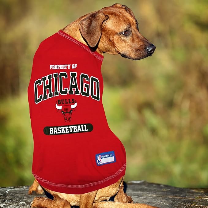 Pets First NBA Licensed Hoodies & T-shirt for Dogs & Cats, Chicago Bulls, Medium