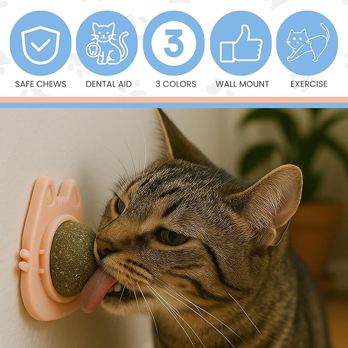 Catnip Balls for Cats Wall - 3 Pack Edible Kitty Toys for Cats Lick - Safe Healthy Kitten Chew Toys - Teeth Cleaning Dental Cat Toys - Silvervine 2 Inch Pink Blue Orange