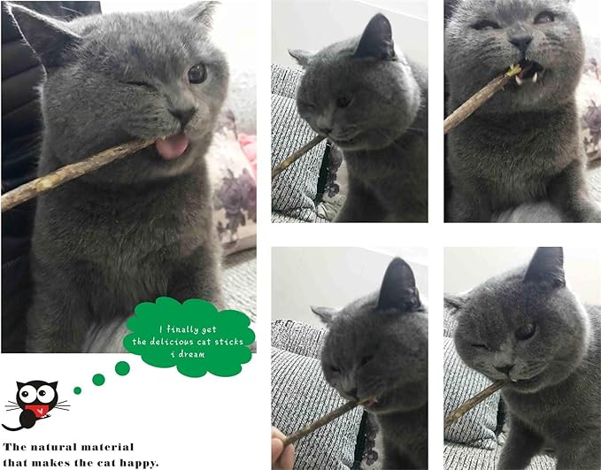 Silvervine Sticks Cat Toys,Natural Matatabi Catnip Chew Sticks,Cat Teeth Molar Teeth Cleaning(26 PCS)