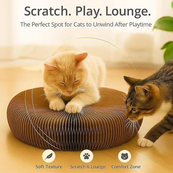 Interactive Cat Toy, Kitty Curls Cat Scratcher, Twisty Paws Cat Scratching Post, Kitty Kurls Magic Organ Cat Scratch Pad with Ball Toy for Indoor Cats, Kitty kurlz Modern Cat Scratching Board