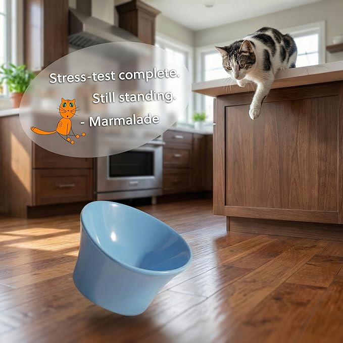 Elevated Cat Bowls for Water – Raised Bowl for Indoor Cats – Whisker & Neck Fatigue Shallow Cat Dishes – Vet-Recommended Height, Modern Pedestal Design – Non-Slip & Dishwasher-Safe – 8 oz White