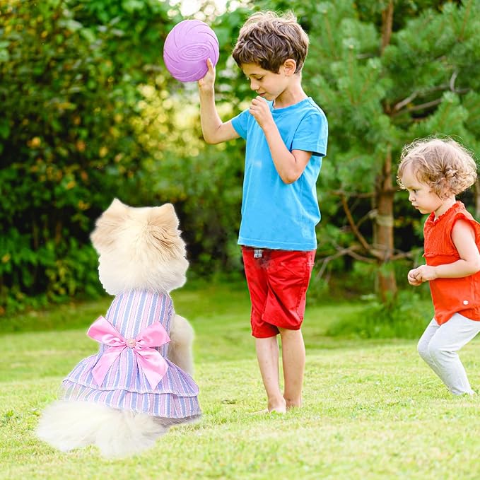 Pet Summer Dress, Cute Princess Dog Dresses for Small Dogs Girl with Bright Color Design, Sweet Bowknot, Small Puppy Clothes for Girls, 2 Pack, XS