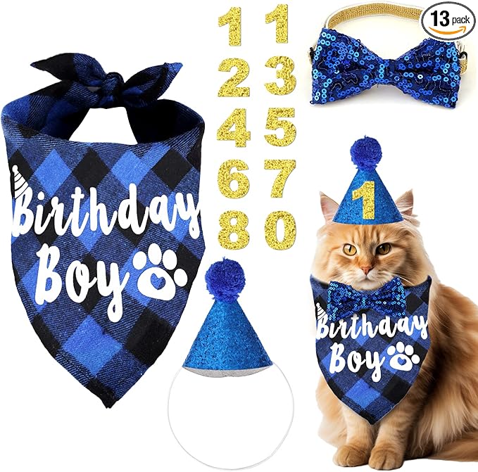 Cat Birthday Party Supplies with Hat, Scarf, Tie & Bandana - Cat Themed Decor (Blue)