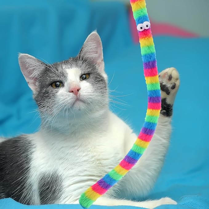 Cat Worm Toy, 12 PCS Cat Wand Toy Accessories Including Worm & Snake Refills Set, 2PCS Replacement String for Cats Fishing Pole Toys, Assorted Feather Toys Attachments Teaser for Indoor Cats Kitten