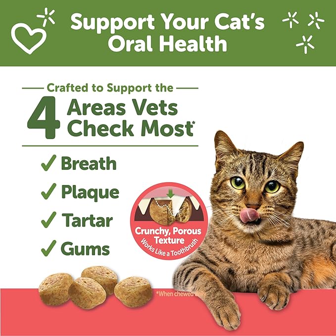 Wellness WHIMZEES Cat Dental Treats, Freshens Breath, Chicken and Salmon Flavor, 2 oz Bag