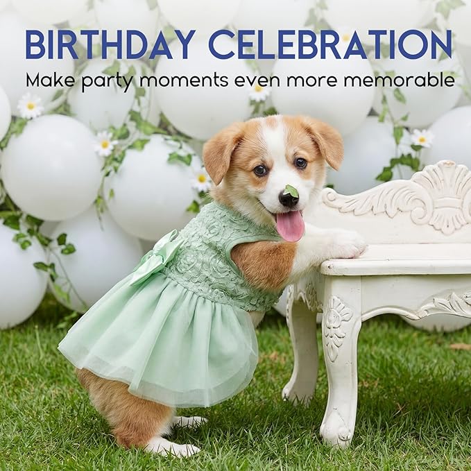 ASENKU Dog Dress Pet Wedding Dress Princess Lace Puppy Birthday Party Outfit Formal Apparel Girl for Small Medium Dogs Cats (Medium, Green)