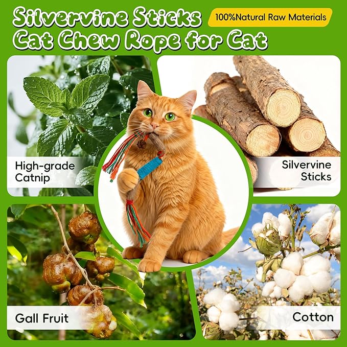 GBSYU Silvervine Sticks for Cats & Cat Chew Rope Toy with Refillable Natural Catnip Bag for Teeth Cleaning, Interactive Cat Catnip Toys for Indoor Cats, Kitten Teething Toys for All Breeds (4Pcs)