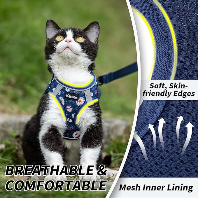 Arblina Soft Mesh Cat Harness and Leash Set for Walking,Escape Proof No Choke Step in Kitten Vest Harness,Reflective Ajustable Puppy Vest for Traveling