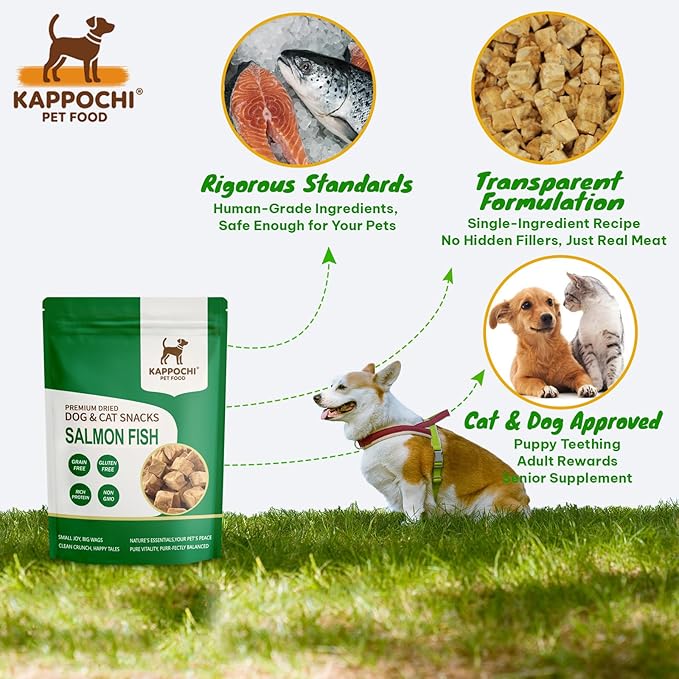 Freeze Dried Salmon Cat Dog Treats, 3.5oz(100.0g), 100% Single Ingredient High Protein Training Treats, Rich in Omega, Natural & Raw, No Additives, Grain Free, Gluten Free
