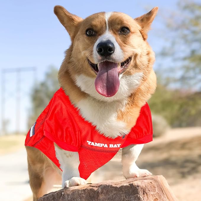 NFL Tampa Bay Buccaneers Red Mesh Pet Football Jersey (Medium)