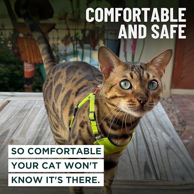 OutdoorBengal Always On™ Martingale Cat Harness and Leash Escape Proof Set – Vest for All-Day Kitten Adventures – Adult Cats - Cat Leash and Harness Escape Proof + Leash (Black Reflective, XL)