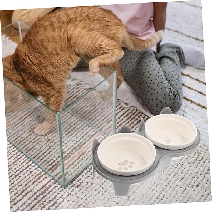 Ceramic Elevated Cat Bowl with Thick Gray Non-Slip Stand Angled Dual Feeding and Watering Bowls for Indoor Pets Smooth Surface Pet Feeding Accessory