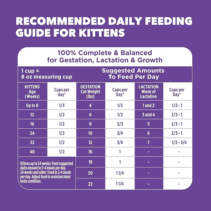IAMS Proactive Health Kitten Dry Cat Food, Healthy Kitten Food Dry Recipe with Real Chicken in Every Bite, 16 Lb. Bag