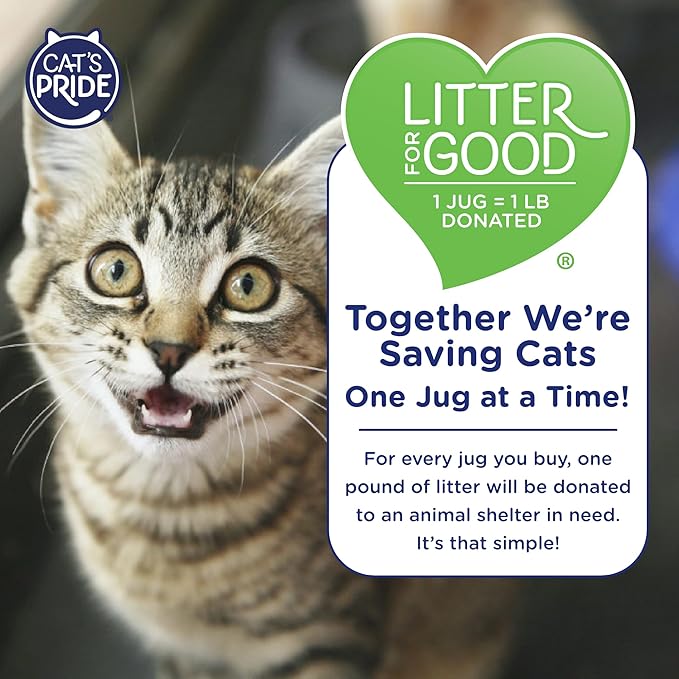 Cat's Pride Lightweight Clumping Litter: Baking Soda - Powerful Odor Control - Scented, 10 Pounds