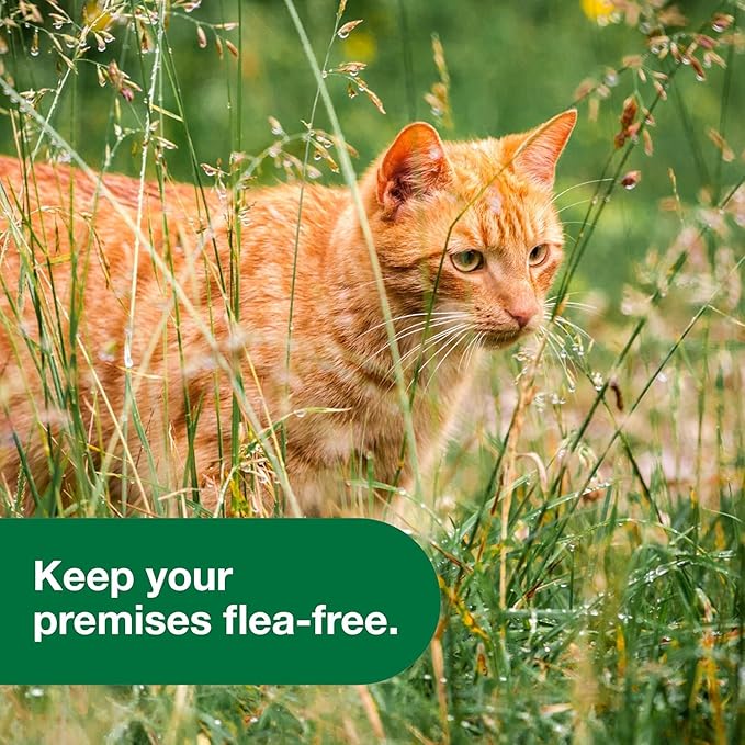 Bundle of Advantage Topical Flea Treatment and Prevention for Large Cats Over 9 lbs. + Advantage Yard & Premise Spray 32 oz.