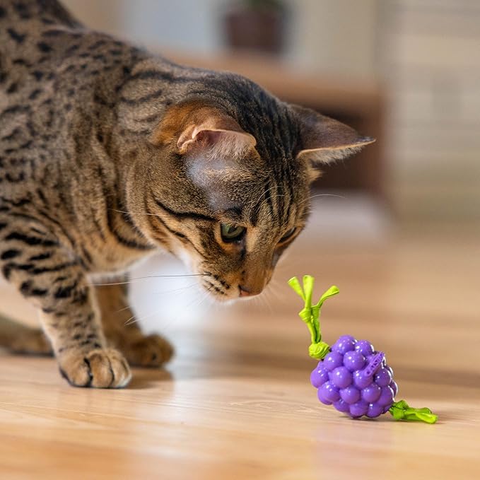 Catstages Bouncing Grape Teether Cat Toy, Soft and Textured Chew, Catnip Oil Coating