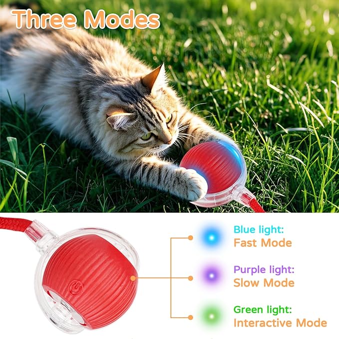 Goosheep 2025 New 2Pack Cat Ball Kitten Toys for Indoor Interactive Kitty Ball Toy Speedy Tail 360° Automatic Rolling for Dog, Cat(Red Grey)
