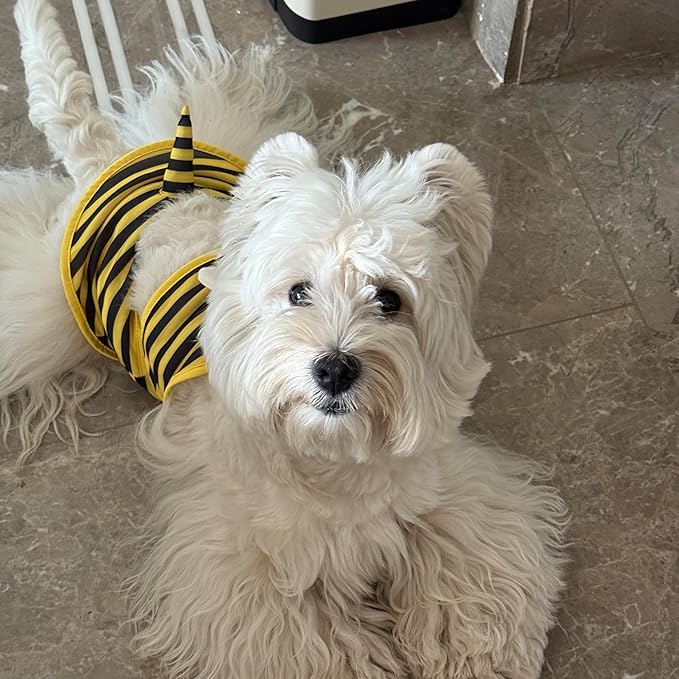 Funny Doggie Swimwear Bikini Summer Dog Clothes Beach Swimsuit Puppy Bathing Suit Puppy Vest Cooling Dog Shirts for Small Dogs, Cat Apparel (Medium, Yellow Bee)