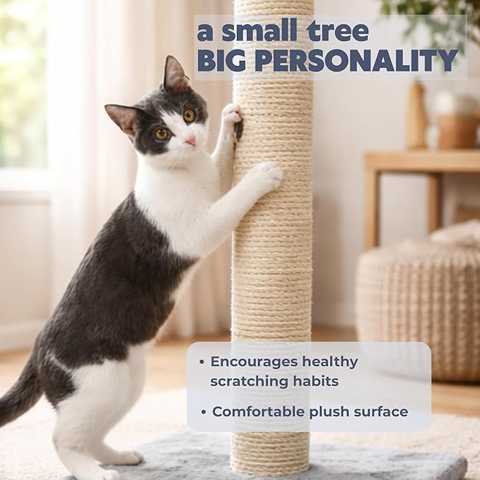 TRIXIE Parla Cat Scratching Post 24.4 Inch - Cat Scratcher with Soft Fabric Covering Base and Durable Natural Jute Rope - Gray